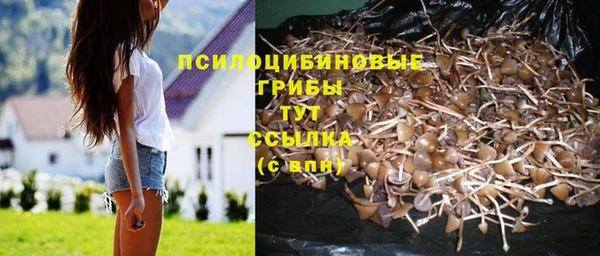 бутират Балабаново